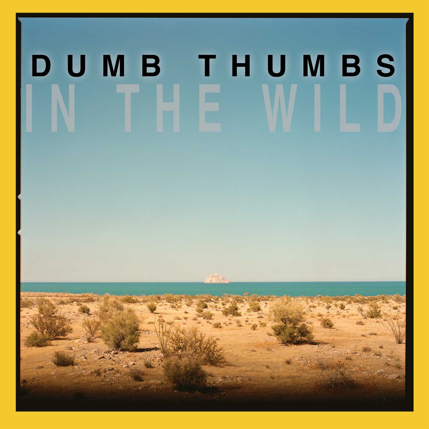 Artist Home Premiere: “In the Wild” by Dumb Thumbs